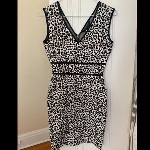 BCBG leopard dress NWT